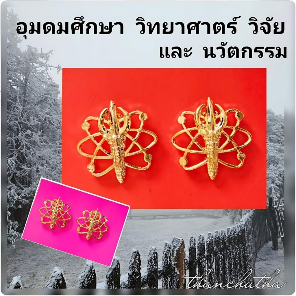 กนกคอ กระทรวงอุดมศึกษา วิทยาศาสตร์ วิจัย และนวัตกรรม แกะมือ ขาเข็ม