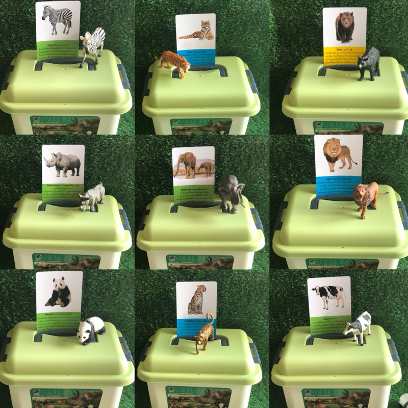 !!!โมเดลสัตว์เสมือนจริง แถมการ์ดงานลิขสิทธิ์ร้านมาพร้อมกล่องอย่างดี งานดีที่สุด 26 ตัวสวยๆ