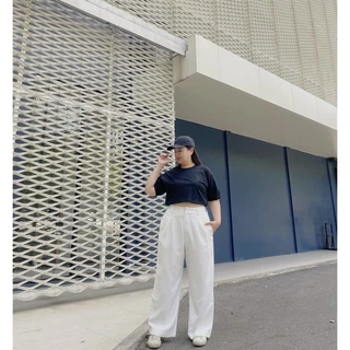 Best Seller! Basic pants / กางเกงเก็บพุง 13 สี