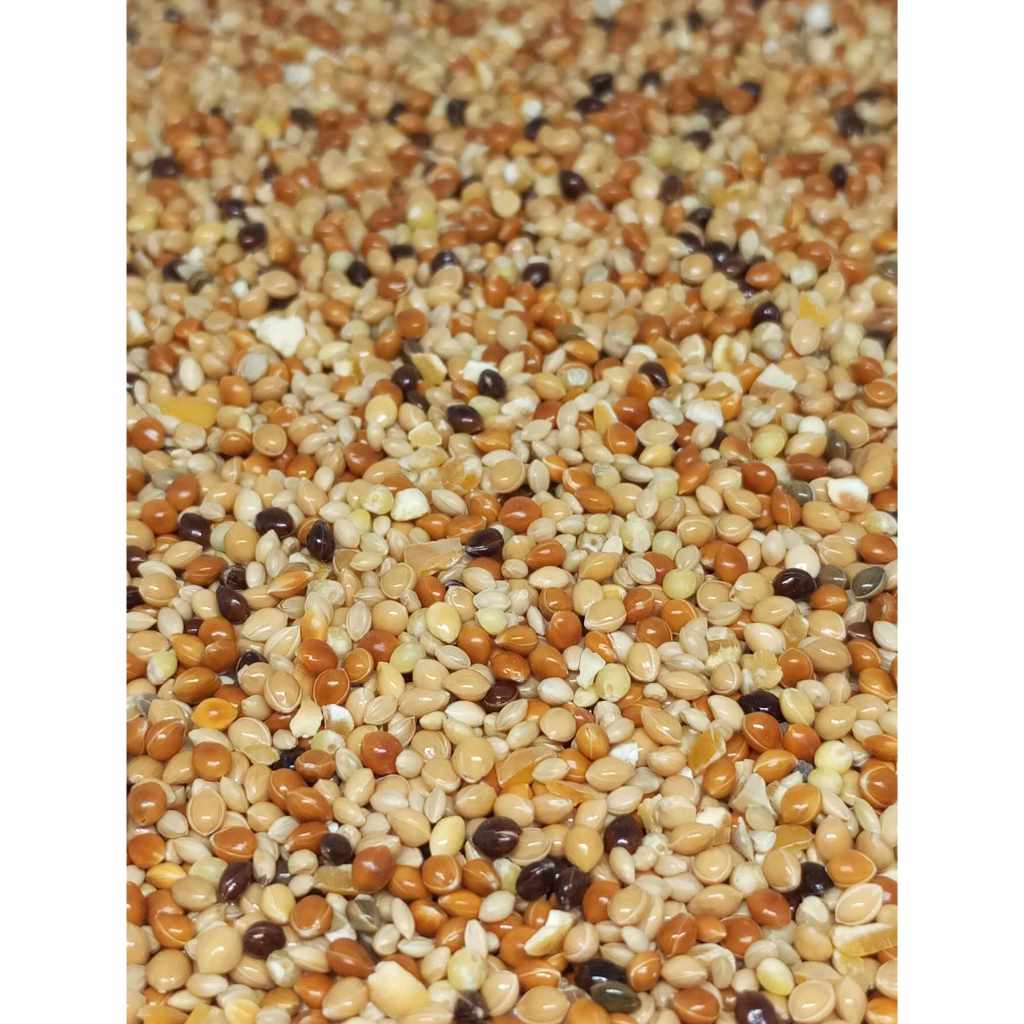 อาหารนกหงส์หยก นกหงส์หยก มิลเล็ทรวม มิลเล็ท 3 สี น.น. ครึ่ง ก.ก.(500กรัม) เพียง 24 บาท อาหารนก นก นกหงส์หยก