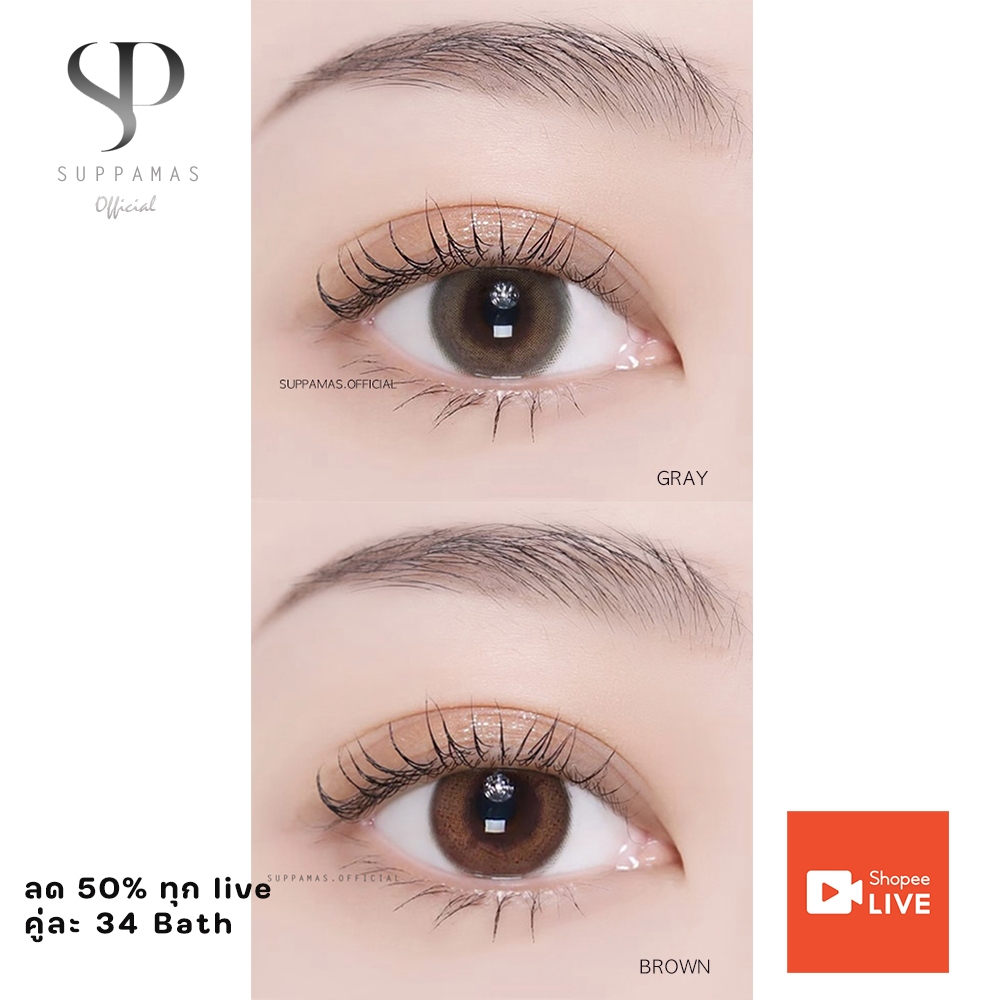 คอนแทคเลนส์ Mini Primo Gray/Brown (Kitty Kawaii) ขนาดมินิ