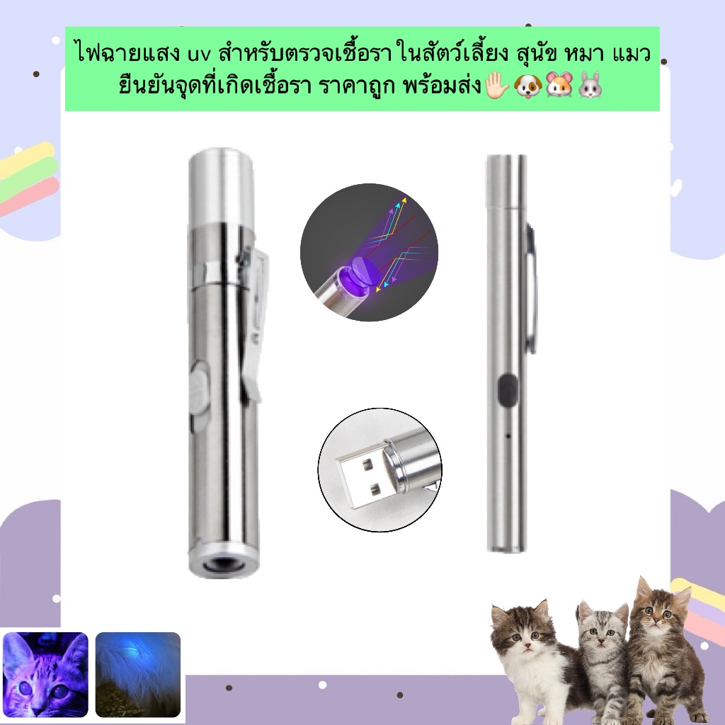 MG-878 ไฟฉาย UV สำหรับตรวจเชื้อราในสัตว์เลี้ยง สุนัข แมว หนูแฮมสเตอร์ ราคาสุดคุ้ม พร้อมส่งทันที! ✋🏻🐶🐹🐰