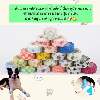 AL-880 ผ้าพันแผล สำหรับสัตว์เลี้ยง สุนัข หมา แมว ช่วยบรรเทาอาการ ป้องกันฝุ่น กันเลีย ผ้ายืดหยุ่น ราคาถูก พร้อมส่ง🐶🐱