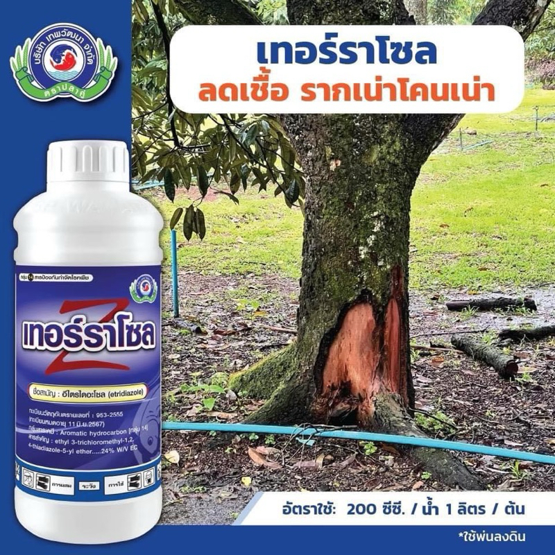 เทอร์ราโซล 1 ลิตร ราดโคนต้น รักษาโรครากเน่าโคนเน่า