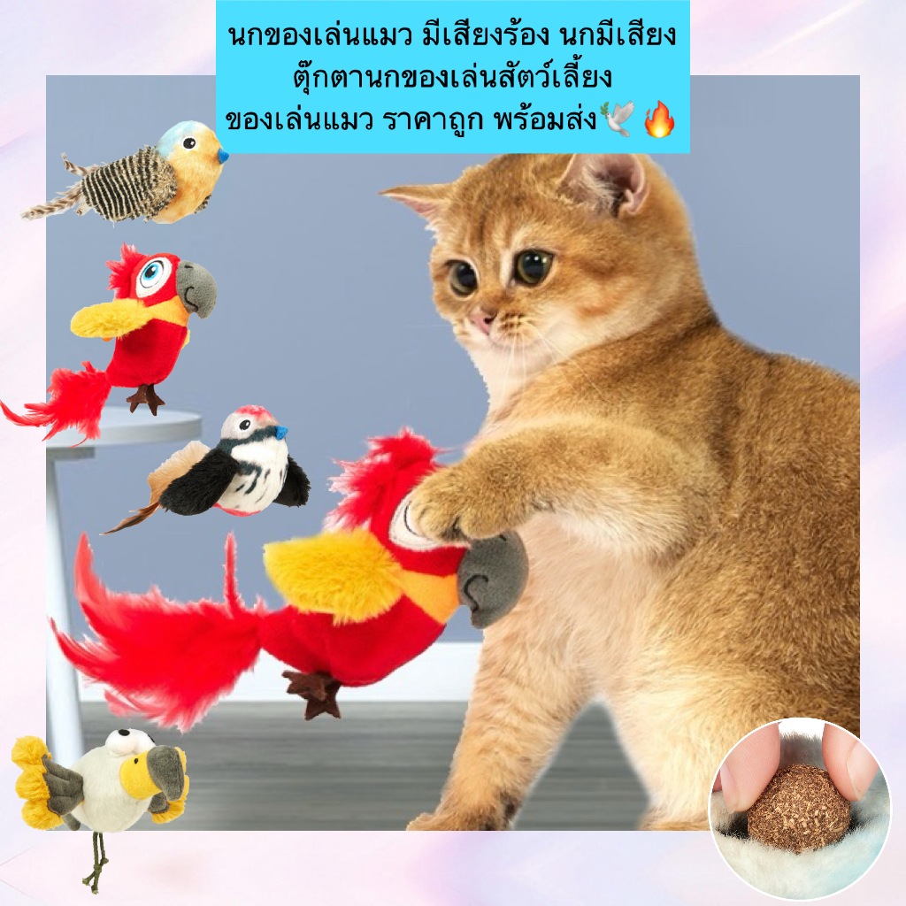 AL-888 นกของเล่นแมว มีเสียงร้อง นกมีเสียง ตุ๊กตานกของเล่นสัตว์เลี้ยง  ของเล่นแมว ราคาถูก พร้อมส่ง🕊️🔥