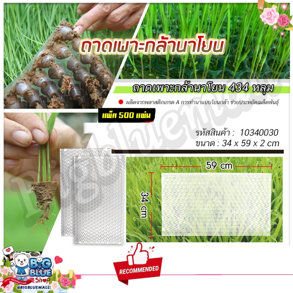 ถาดเพาะกล้า ถาดนาโยน ถาดเพาะกล้านาโยน(434หลุม)(A) อุปกรณ์เพาะชำต้นกล้า กล้าต้นข้าว(1*10แผ่น)