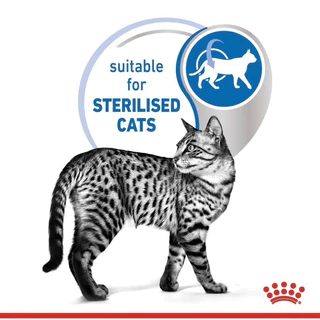 [ 1 โหล INDOOR แมวโต ] Royal Canin อาหารแมว INDOOR ชนิดเปียก จำนวน 1 โหล