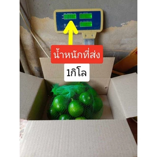 มะนาวไร้เมล็ด( พันธุ์ตาฮิติ ) 🍋เปลือกบาง น้ำเยอะ เก็บสดใหม่ทุกออเดอร์❌ อ่านรายละเอียดก่อนสั่งซื้อนะคะ