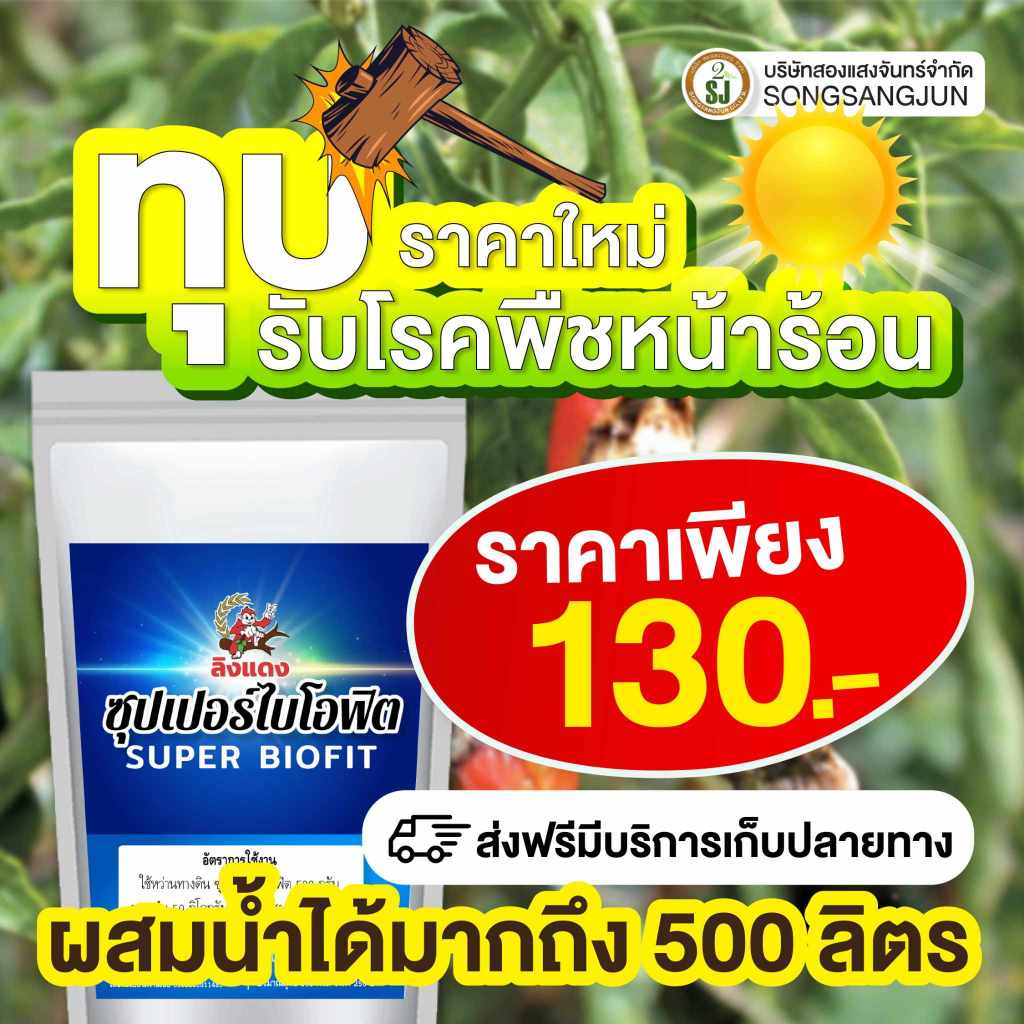 วัคซีนพืชป้องกันโรคและแมลง ไคโตซาน ช่วยให้พืชโตไว เชื้อราในข้าว ใบไห้ม ไบเหลือง รากเน่า