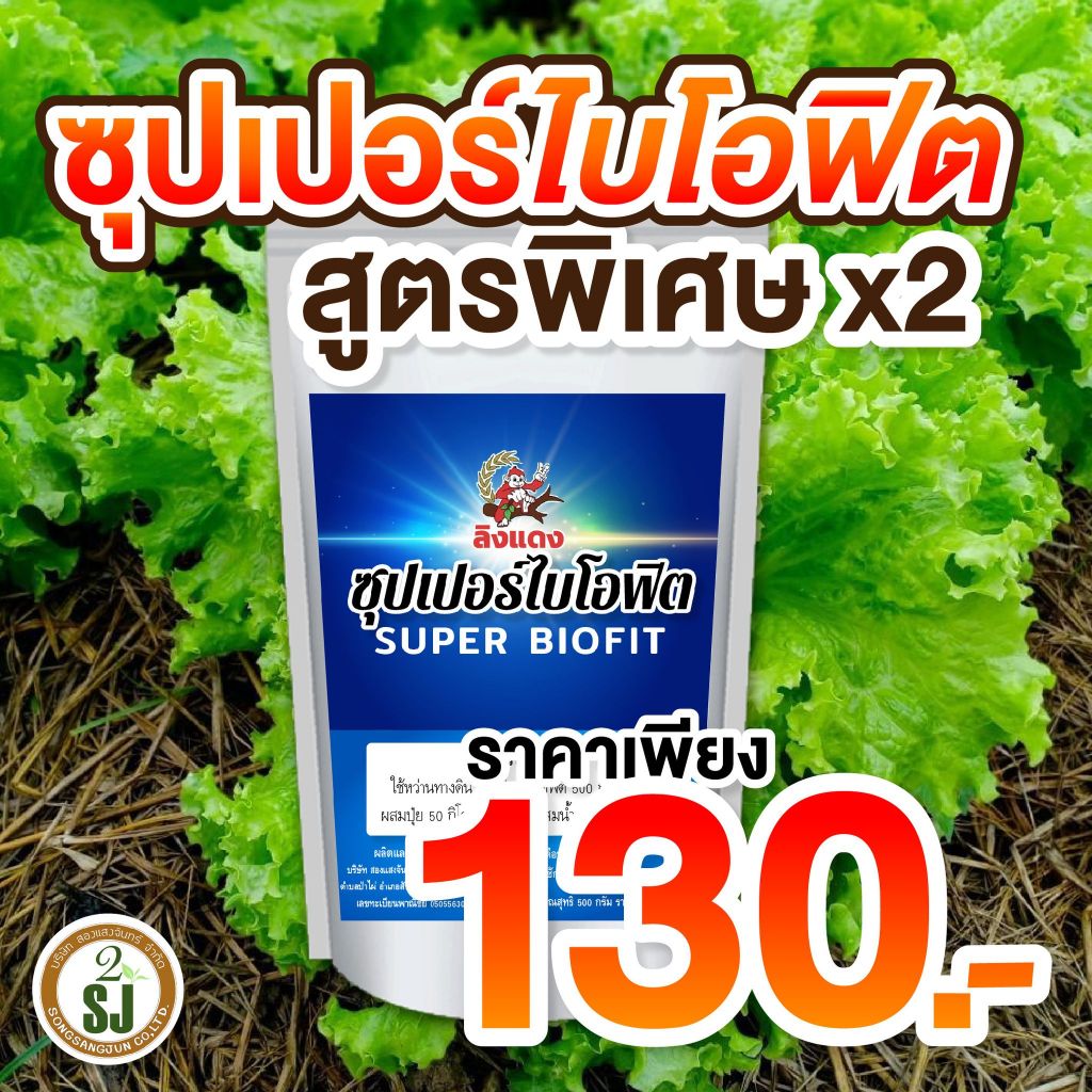 วัคซีนพืชซุปเปอร์ไบโอฟิต วัคซีนพืช วัคซีนพริก ป้องกันและกำจัดโรคพืช เชื้อรา ไคโตซานพืช กำจัดเชื้อรา โรครากเน่าโคนเน่า
