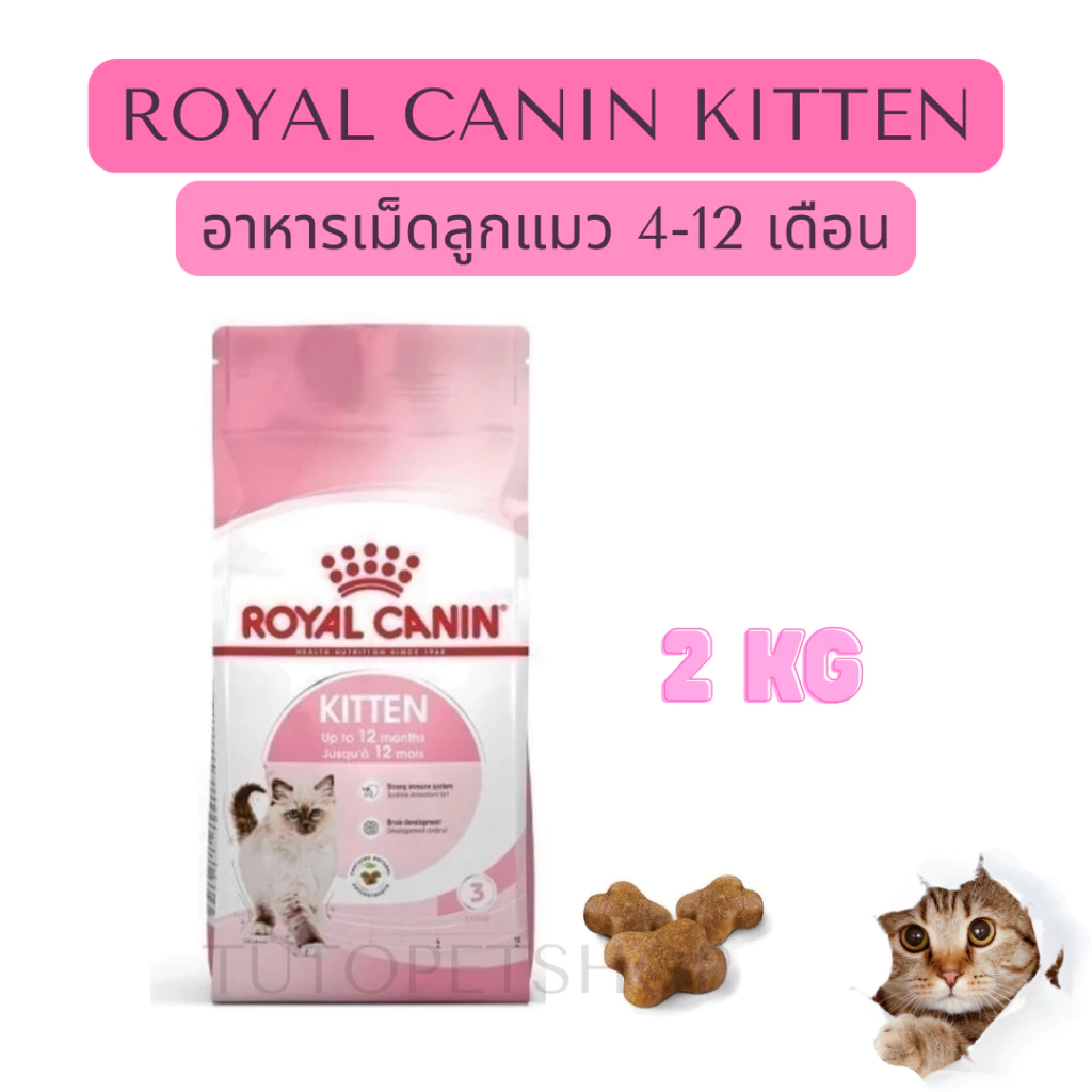 Royal Canin Kitten 2 kg อาหารเม็ดแมว โรยัลคานิน ลูกแมว ขนาด 2 กิโลกรัม exp.02/2027