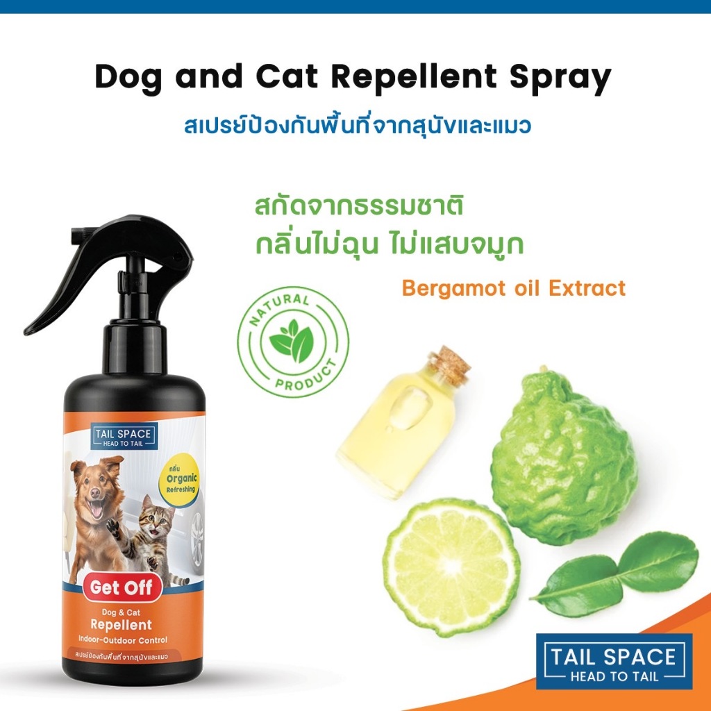 รูปภาพ 7