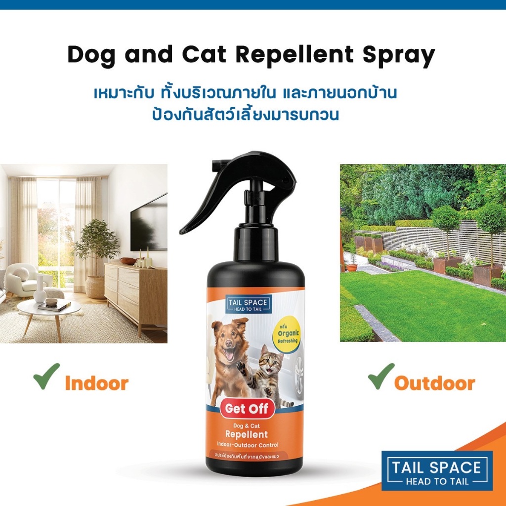 รูปภาพ 4