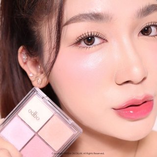 OD1318 โอดีบีโอ ซิกเนเจอร์ โฟร์ เฉดส์ บลัชเชอร์ ODBO(โอดีบีโอ) SIGNATURE 4 SHADES BLUSHER