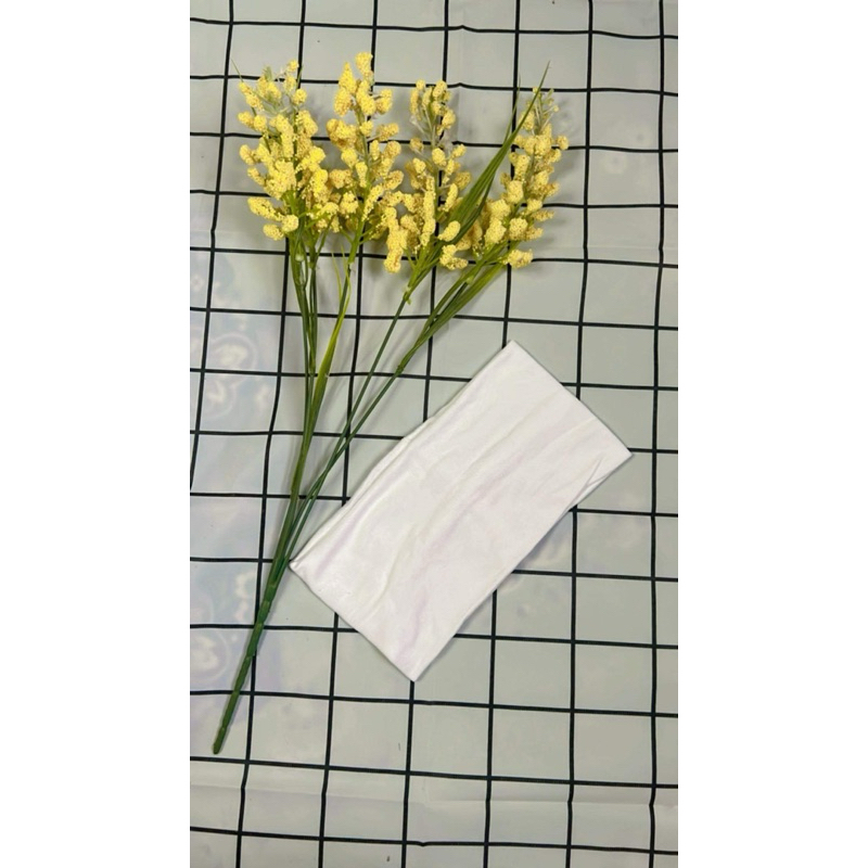 รูปภาพ 6