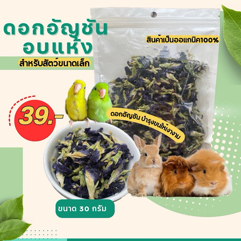 ดอกอัญชันอบแห้งสำหรับสัตว์ขนาดเล็ก