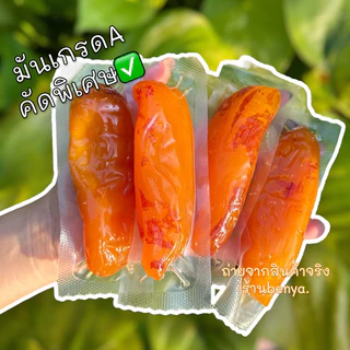 (มันทั้งหัว1กิโล-) มันหนึบญี่ปุ่น มันเกรดพรีเมี่ยมคละไซส์ เกรดAนุ่มพิเศษ มันหนึบญี่ปุ่น พันธ์ุเบนิฮารุกะ