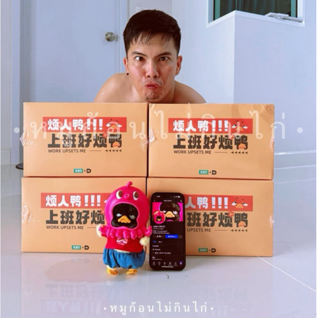 🛵 พร้อมส่งในไทย Upsetduck v.1 ตุ๊กตาเป็ดหน้าบูด กล่องสุ่ม ลุ้น SECRET UPSETDUCK