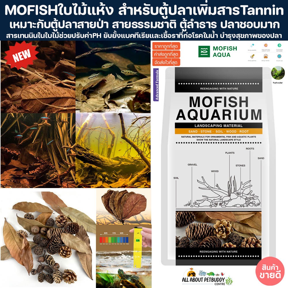 MOFISH ใบไม้ แห้ง สายตู้ลำธาร สายป่า สายตู้ธรรมชาติ ปรับPH ปลาชอบ ปลาไม่ป่วย ปลาเพิ่ม Tannin ปลา กุ้ง เต่า ใบหูกวาง Leaf