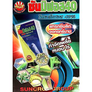 ด้วงกระเบื้อง บั่วนาข้าว แมงสิง แมงกะแท้ แมงกระเบื้อง มวนเขี…