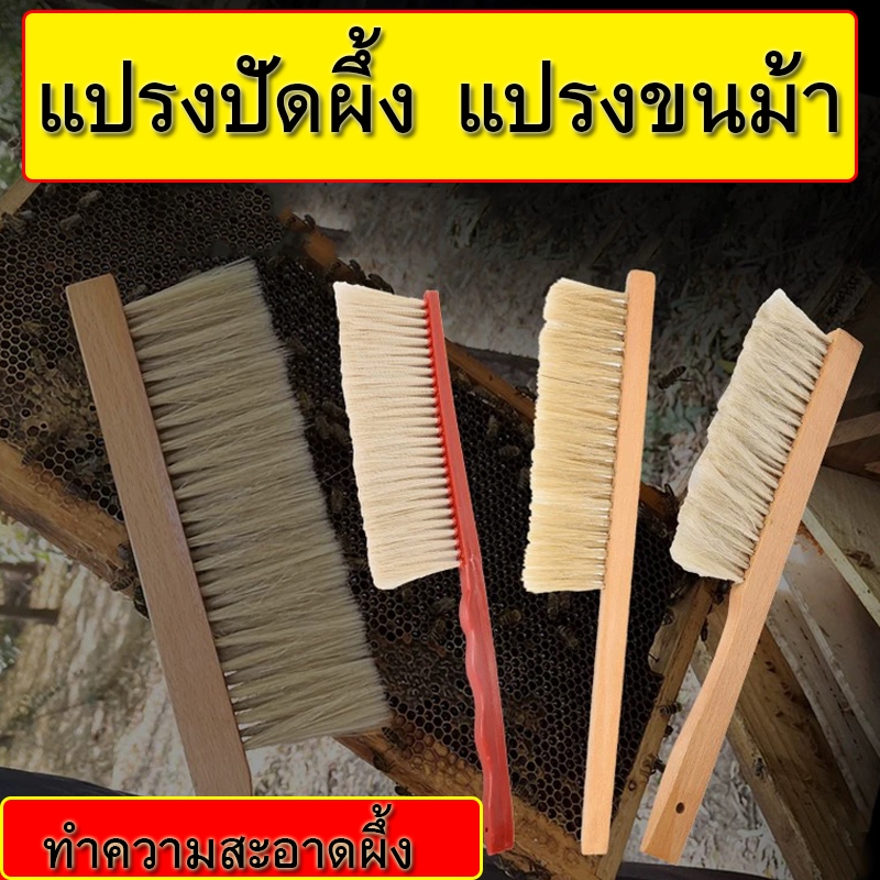 แปรงเลี้ยงผึ้ง แปรงปัดผึ้ง แปรงขนม้า 2แถว และ แถวเดี่ยว สำหรับเลี้ยงผึ้ง ทำความสะอาดผึ้ง อุปกรณ์สำหรับเลี้ยงผึ้ง