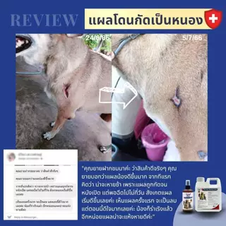 Woof Mate Spray วูฟเมท สเปรย์ !!! ถูกที่สุด ส่งไวสุด !!! ในช้อปปี้ สเปรย์พ่นเชื้อรา คันขี้เรื้อนผิวหนังอักเสบแผลหนอง