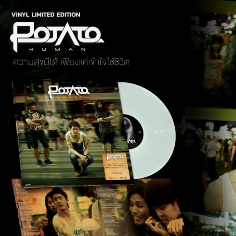 แผ่นเสียง วง POTATO "HUMAN" (White Vinyl)​ Limited Vinyl Running No.300 Copies