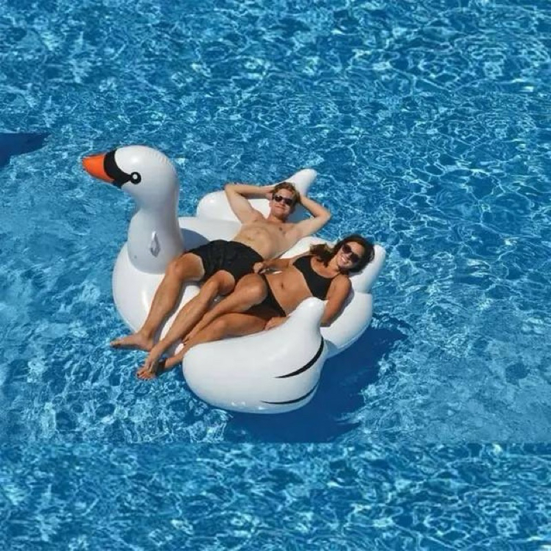 ห่วงยางแฟนซี แพยาง Giant white swan float