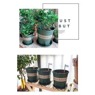 ~พร้อมส่งที่ไทย~ “กระถางปลูกต้นไม้ทรงมาตรฐาน​ รุ่นพิมพ์ลาย Gardening”