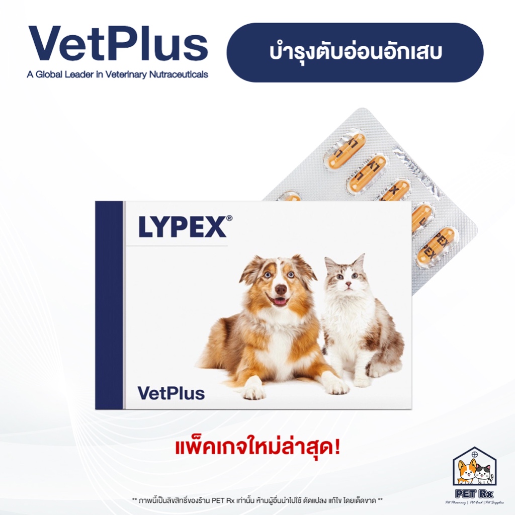 LYPEX [แท้💯] อาหารเสริมเพื่อบำรุงตับอ่อนอักเสบ สำหรับสุนัขและแมว