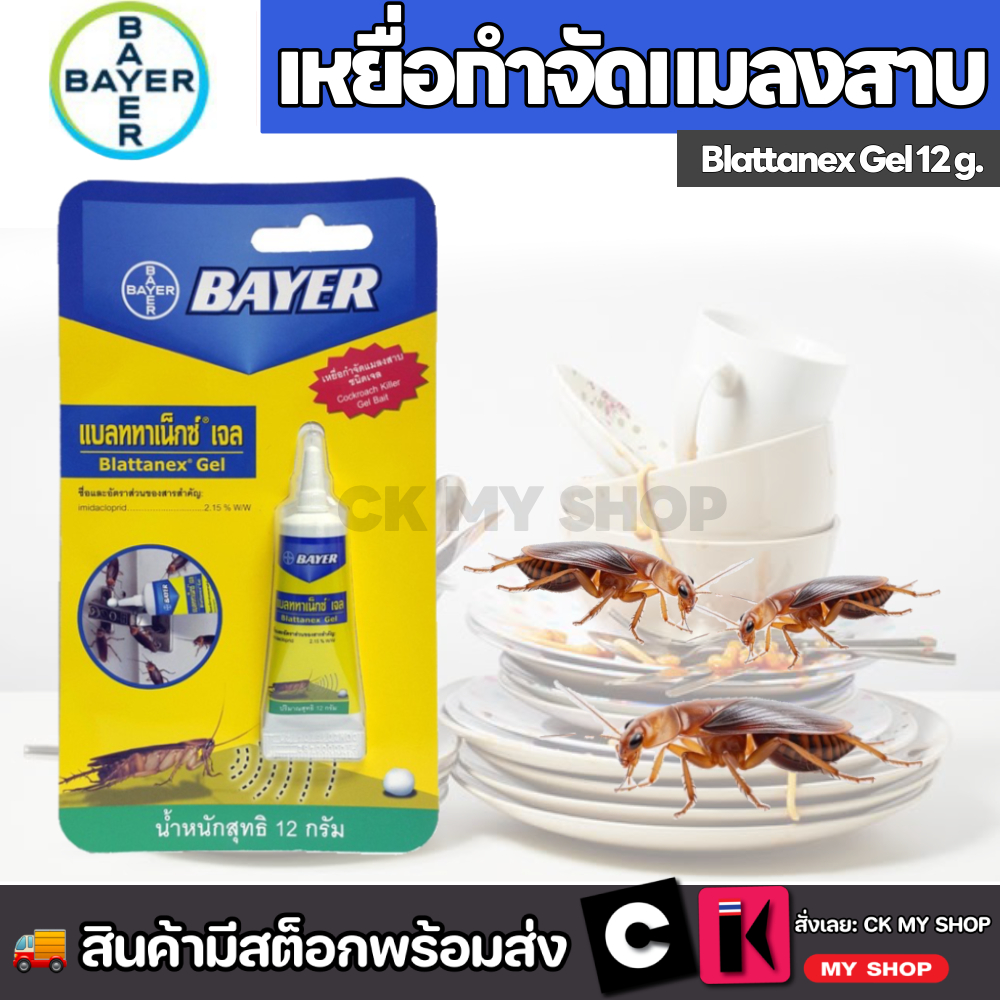 ซื้อ BAYER แบลททาเน็กซ์เจล เหยื่อกำจัดแมลงสาบ 12 กรัม Blattanex Gel