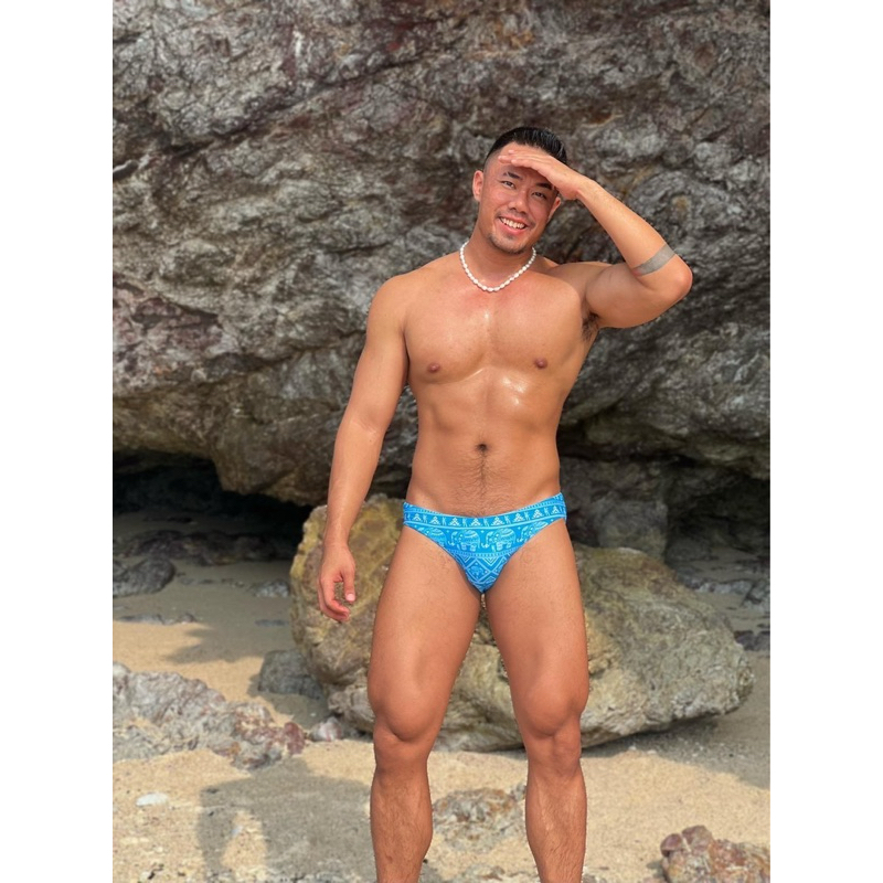 RYU Thai elephant V2 - รูปที่ 2