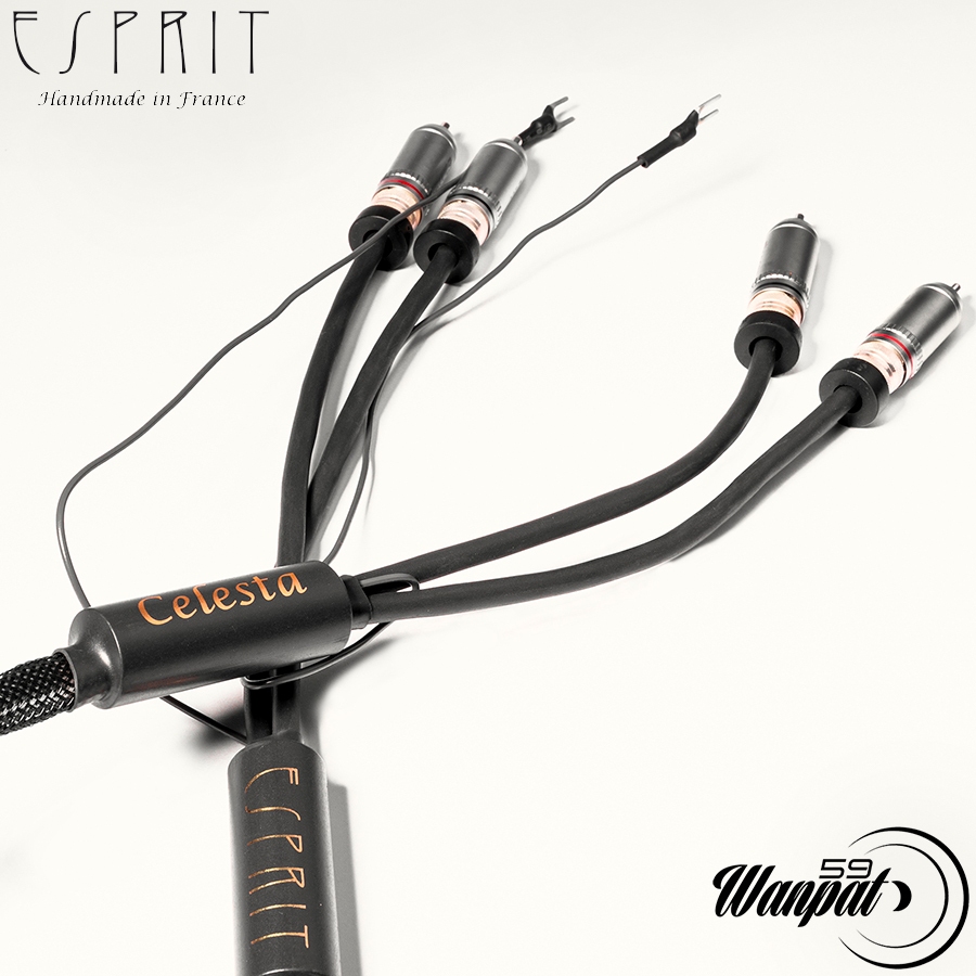 ESPRIT :  Celesta Phono  (RCA/RCA) 1.2 เมตร