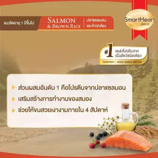 สมาร์ทฮาร์ท โกลด์ อาหารแมว แซลมอนแอนด์บราวน์ไรซ์ 1kgx10ถุง