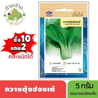 เจียไต๋ (ซื้อ10แถม2) เมล็ดพันธุ์ กวางตุ้งฮ่องเต้ ขนาด3กรัม ประมาณ1,100เมล็ด Hongtae Pak Choy กวางตุ้ง เมล็ดพันธุ์พืช เมล