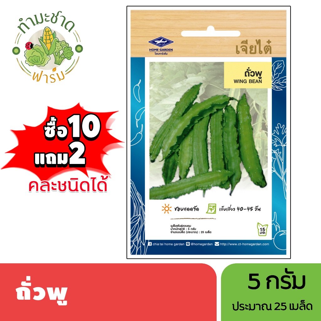 เจียไต๋ (ซื้อ10แถม2) เมล็ดพันธุ์ ถั่วพู ขนาด5กรัม ประมาณ25เมล็ด Wing Bean ถั่วพลู เมล็ดพันธุ์พืช เมล็ดผัก ปลูกผักสวนครัว