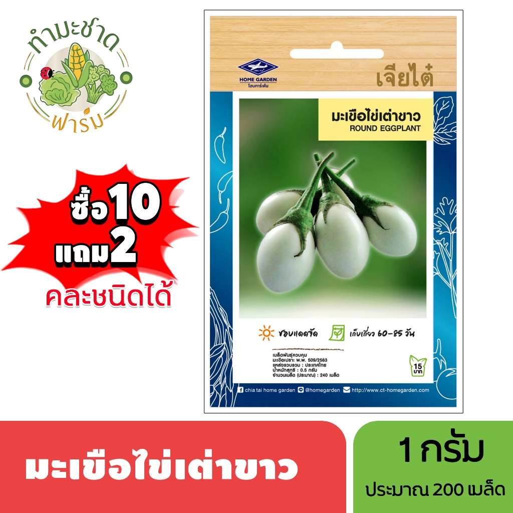 เจียไต๋ (ซื้อ10แถม2) เมล็ดพันธุ์ มะเขือไข่เต่าขาว ขนาด1กรัม ประมาณ240เมล็ด Round Eggplant มะเขือไข่เต่า เมล็ดพันธุ์พืช เ