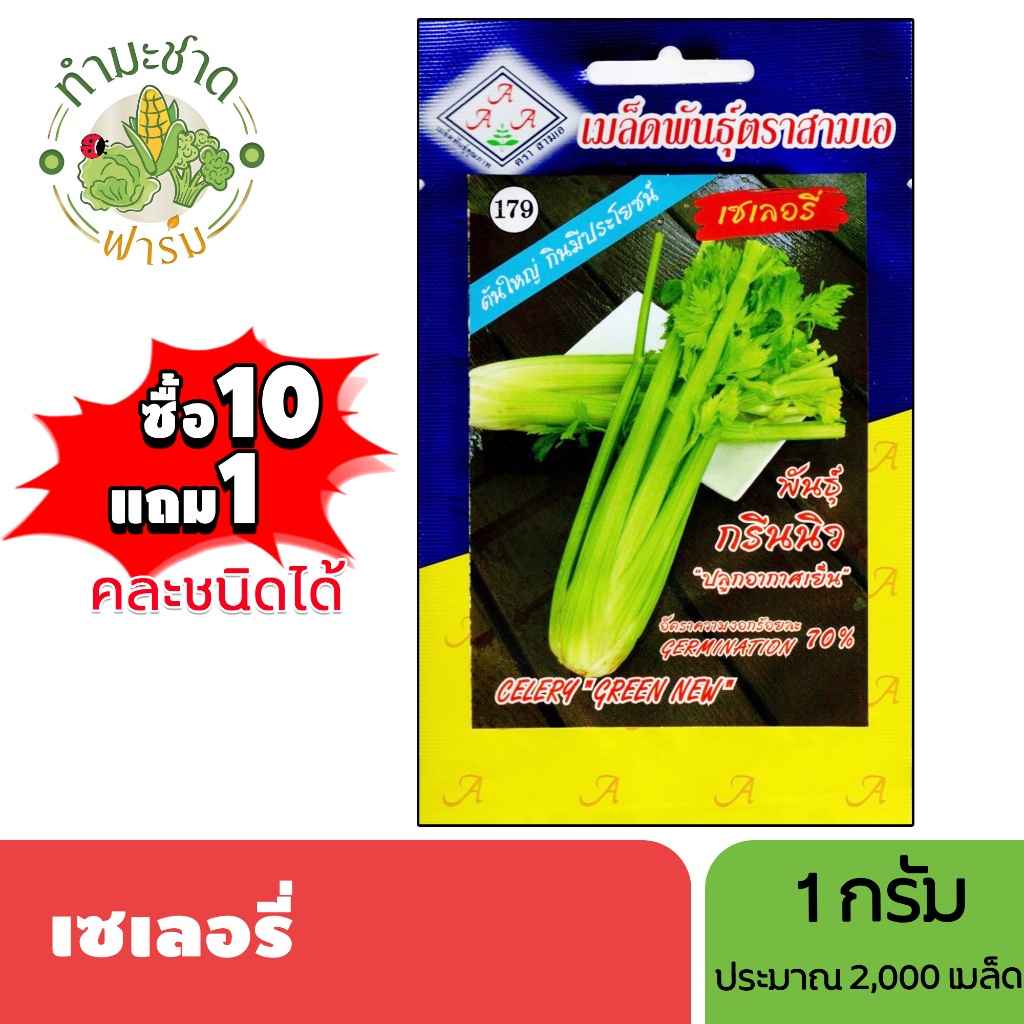 3A (ซื้อ10แถม1) เมล็ดพันธุ์ เซเลอรี่ ขนาด 1 กรัม ประมาณ 2,000 เมล็ด CELERY GREEN NEW ขึ้นฉ่าย คึ่นช่าย ขึ้นช่าย คื่นฉ่าย