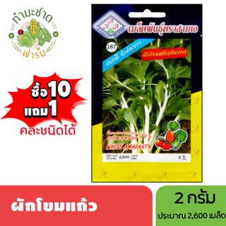 3A (ซื้อ10แถม1) เมล็ดพันธุ์ ผักโขมแก้ว ขนาด 2 กรัม ประมาณ 2,…
