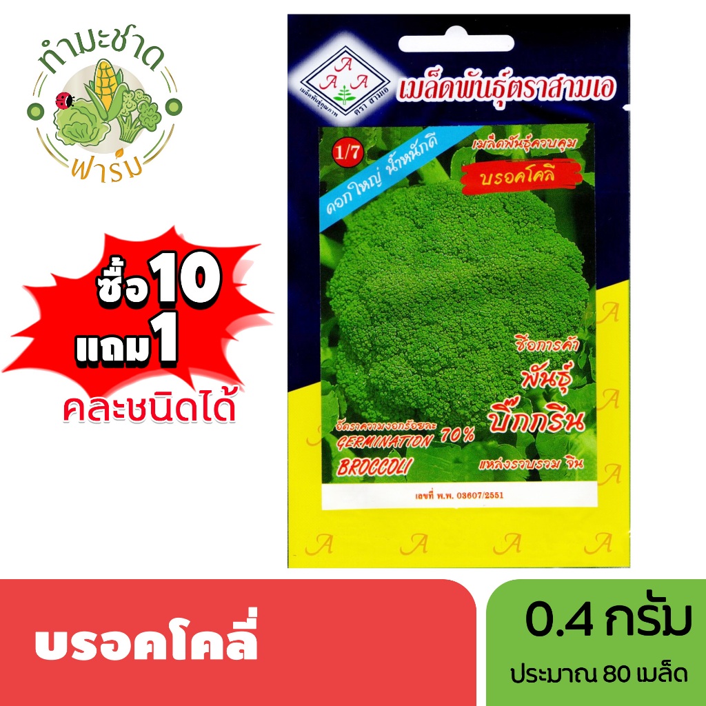 3A (ซื้อ10แถม1) เมล็ดพันธุ์ บร็อคโคลี่ ขนาด 0.4 กรัม ประมาณ 80 เมล็ด BROCCOLI กะหล่ำดอกอิตาลี เมล็ดพันธุ์พืช เมล็ดผัก