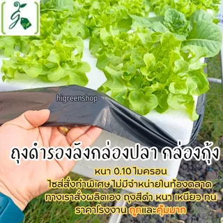 (แพ็ค 10 ใบสุดคุ้ม) ****กรุณาสั่งเพียง 10 ใบ/ออเดอร์ กล่องโฟม กล่องกุ้งมือ1 / มือ 2 ปลูกผัก เจาะรูฟรี + แถมถุงรองลัง