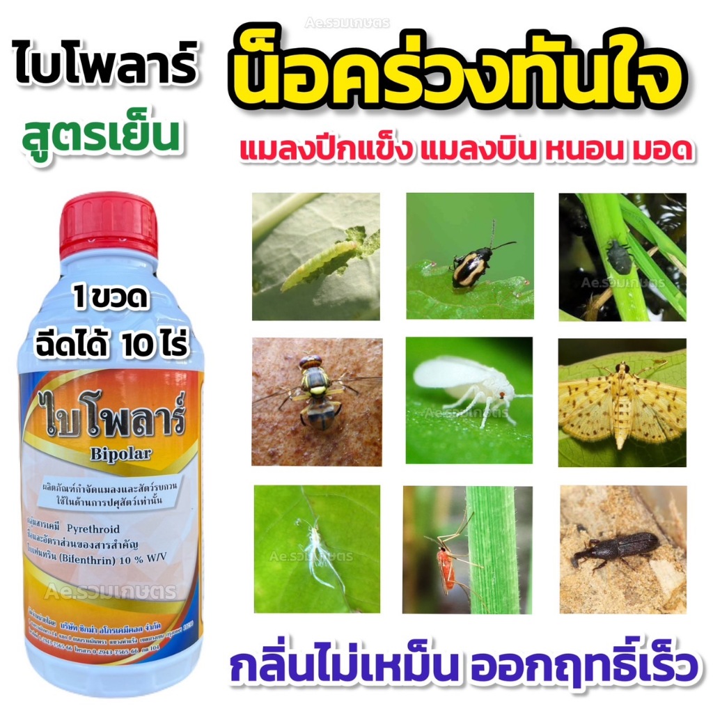 ไบโพล่าร์ ไบเฟนทริน 10% น็อคเย็น น็อคเร็ว สารป้องกันและกำจัดแมลง บั่ว ยุง ด้วง ผีเสื้อ หนอน เพลี้ยไฟ แมลงหวี่ขาว