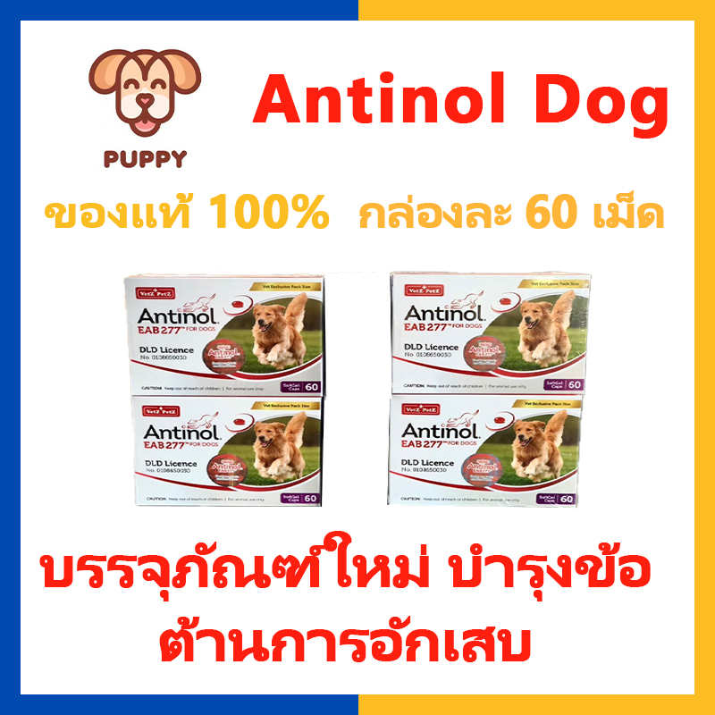 Antinol DOG 60 แคปซูล(หมดอายุ03/2025)แพ็คเกจใหม่ อาหารเสริมบำรุงข้อ ข้ออักเสบ 1 กล่องบรรจุ 60 เม็ด