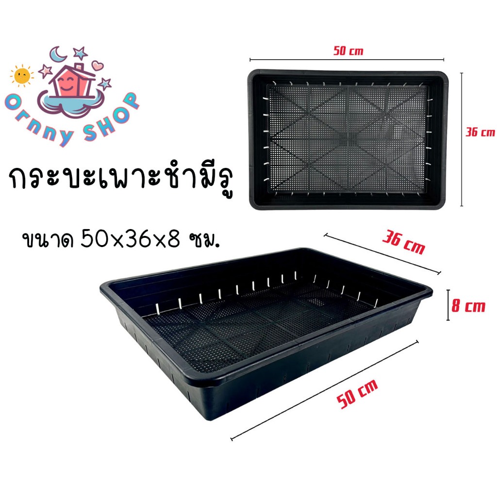 ถาดไดโซะ ถาดเพาะต้นอ่อน (มีรู) ถาดเพาะชำ กระถางแคคตัส ขนาด 50x36x8 ซม. สีดำแบบมีรู