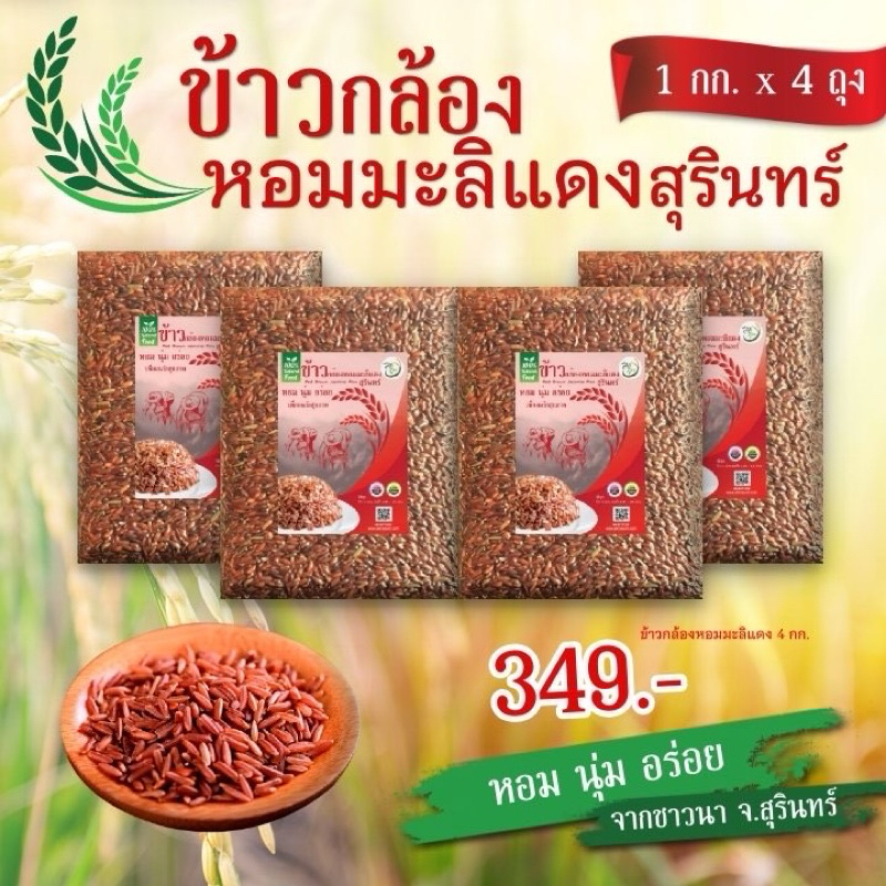 4กิโล ข้าวกล้องหอมมะลิแดง จังหวัดสุรินทร์