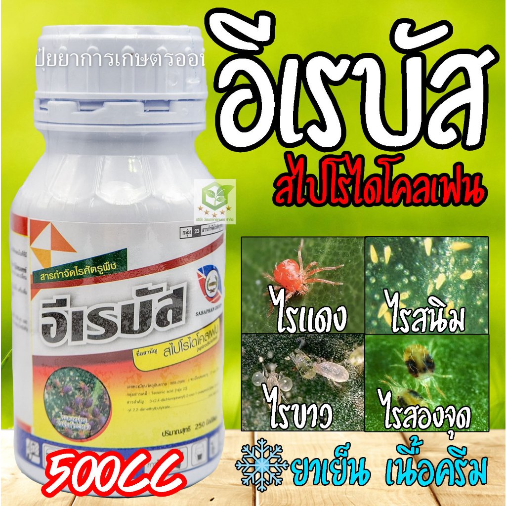 500cc อีเรบัส สไปโรไดโคลเฟน สารกำจัดไรแดง ไรขาว ไรแมลงมุม