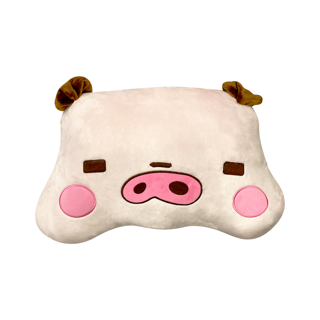 Fluffy BAC. Plush Pillow - หมอนขนนุ่มนิ่ม นอนสบาย