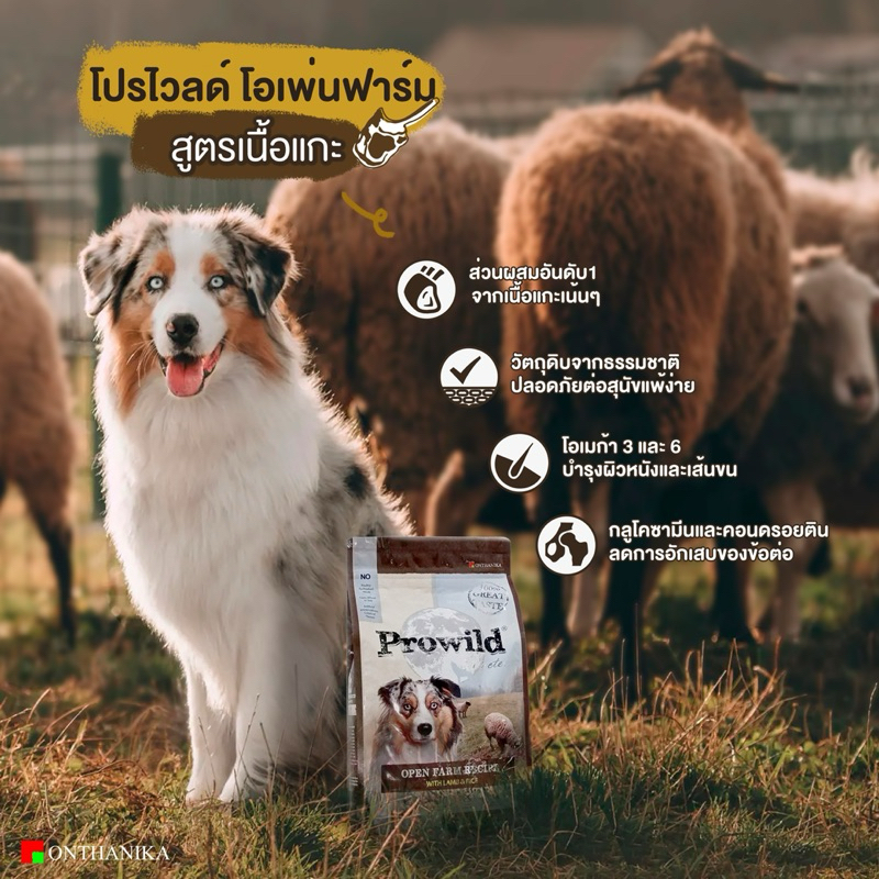 Prowild อาหารสุนัข Super Premium อาหารสุนัขโปรไวลด์ Prowild 3kg. *มี 4 สูตร* เกรดส่งออก - รูปที่ 3
