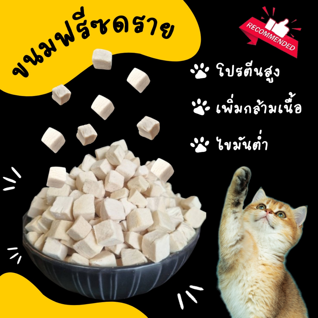 ขนมฟรีซดราย ไก่ฟรีซดราย แซลมอนฟรีซดราย ขนมแมว ขนมหมา Freeze Dried for Cat Dog umm ขนมหมา