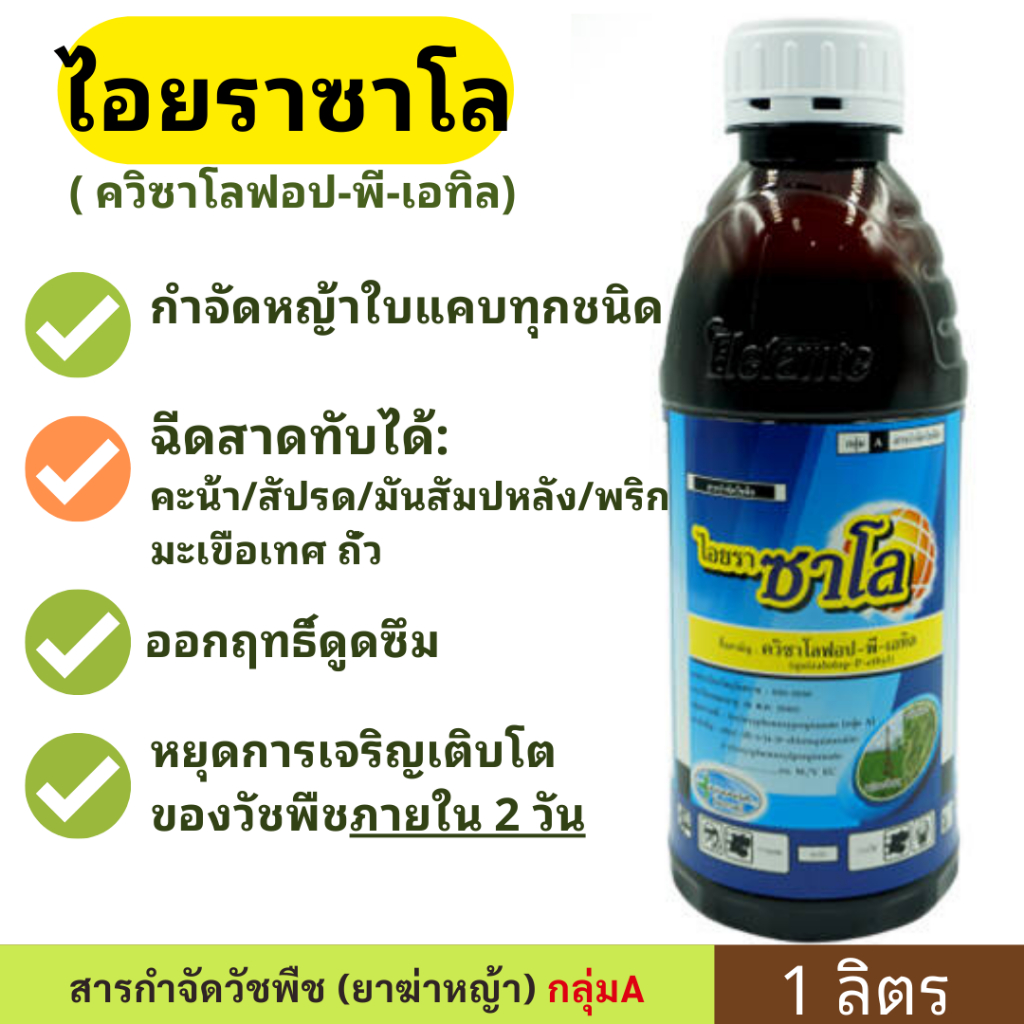 ไอยราซาโล 1ลิตร ( ควิซาโลฟอป - พี - เอทิล ) ฆ่าหญ้าใบแคบ ฉีดสาด ได้ ไร่ผัก ออกฤทธิ์ ดูดซึมเร็ว